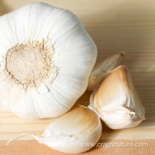 Hot Sale Best White Garlic Seeds